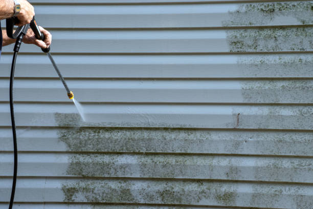 Best Same-Day Junk Removal Services  in Kent City, MI