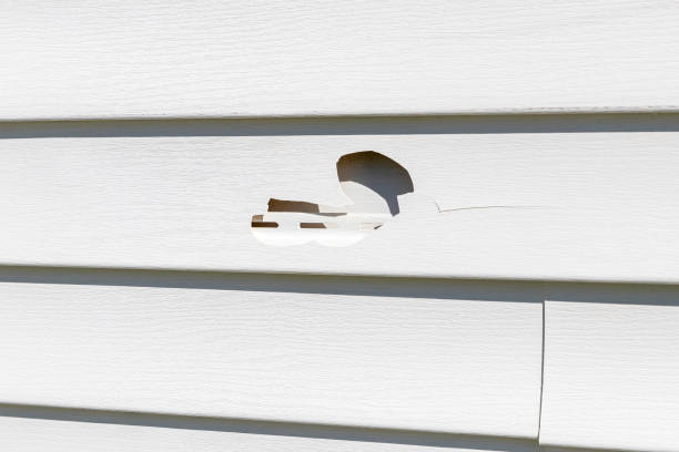 Best Demolition Debris Removal  in Kent City, MI