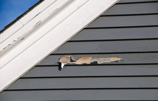 Best Construction Debris Removal  in Kent City, MI